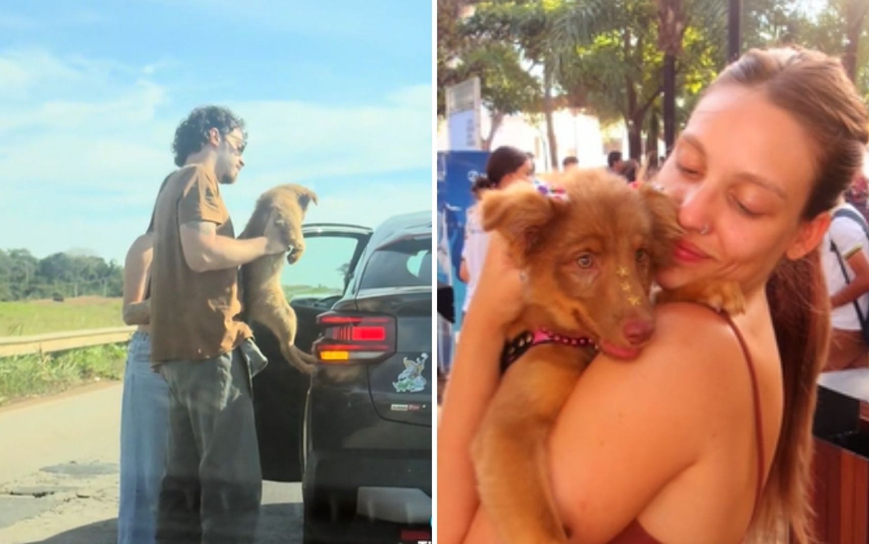 Casal salva cadelinha de atropelamento, adota o animal e vídeo emociona nas redes